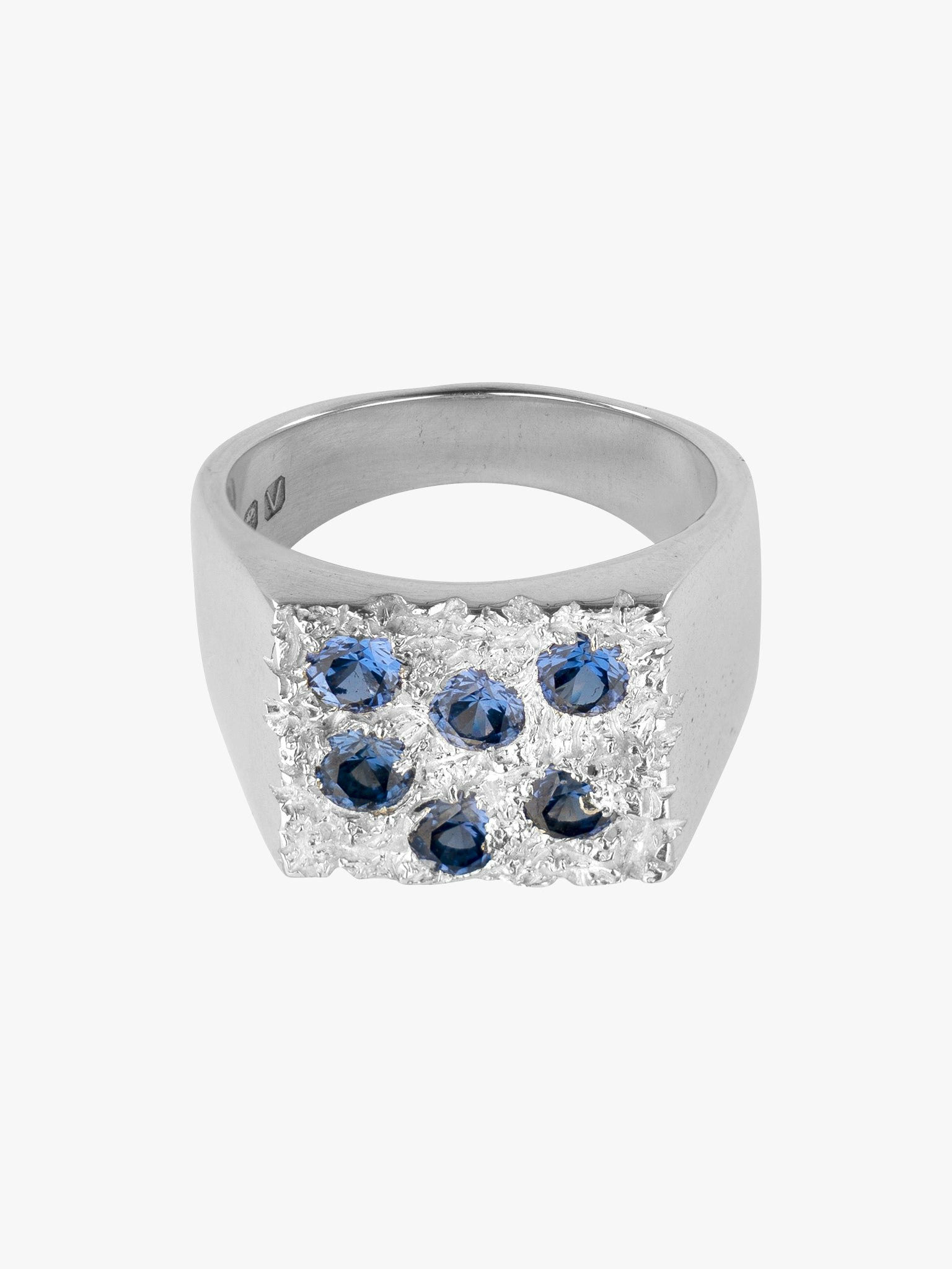 The grand rose garden blue signet photo 1