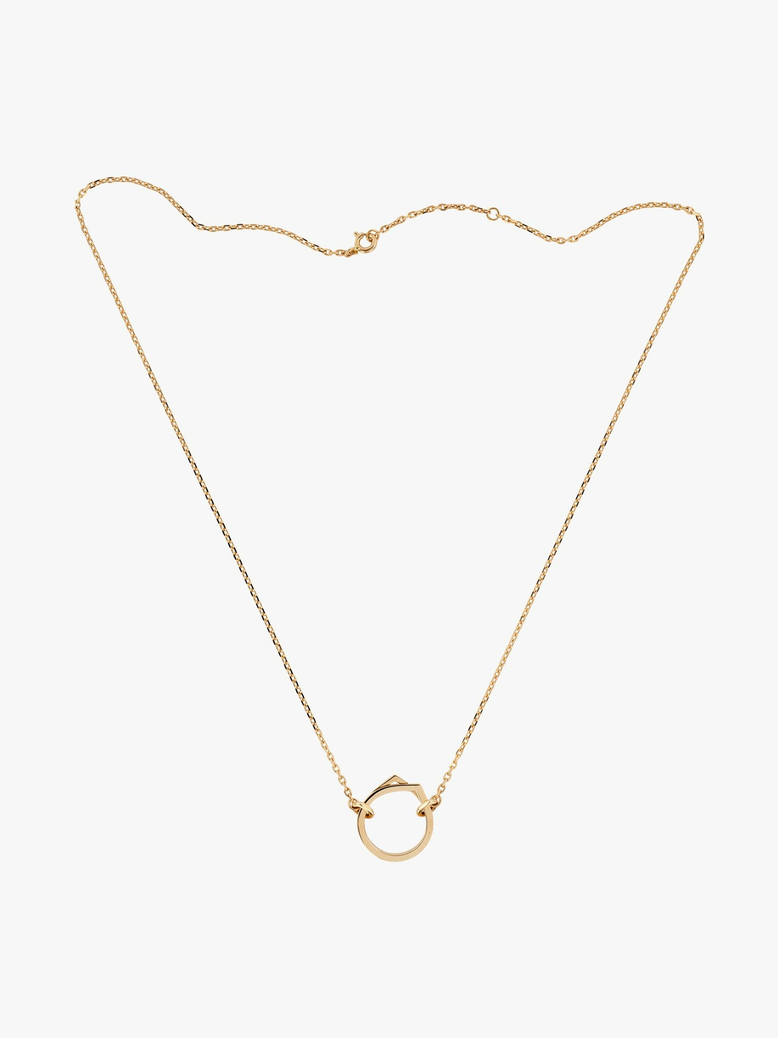 Antifer pendant photo 1